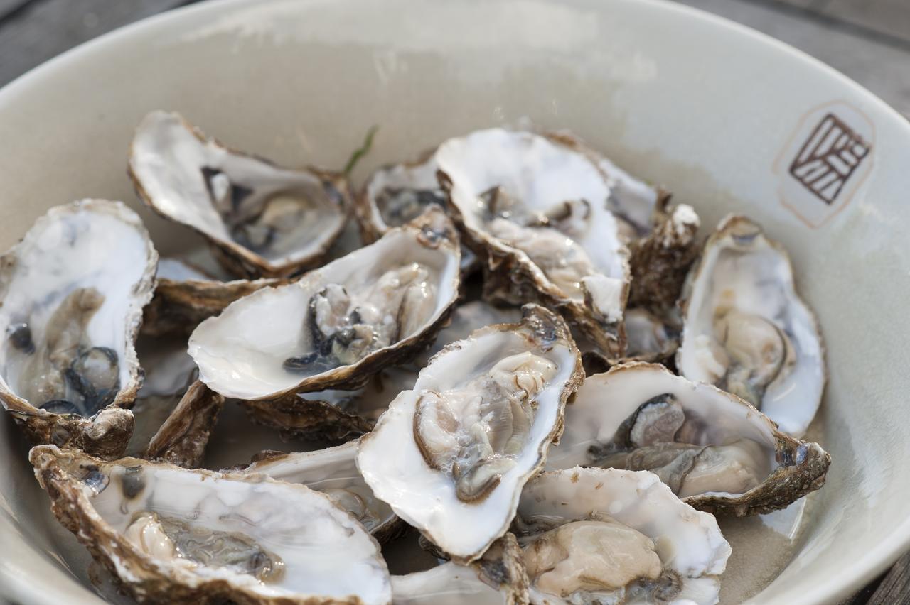 Chateau Le Colombier Brevands Eksteriør billede